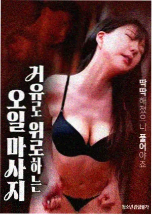 卧底风云 海报